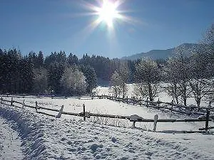 Gasthof Ochsenwirt Oberaudorf Pensionat